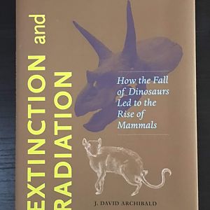 Extinction and Radiation  How the Fall of Dinosaurs Led to the Rise of Mammals