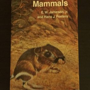 California Mammals