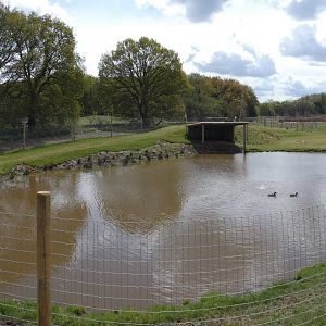 Brazilian tapir enclosure panorama