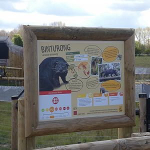 Binturong signage