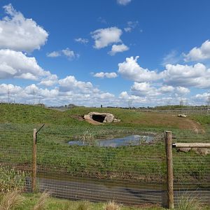 Spotted hyena enclosure