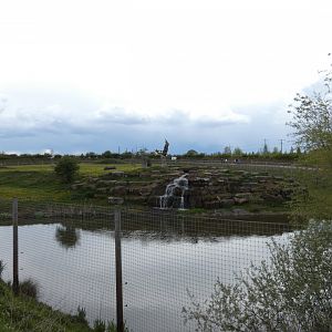 Lion enclosure