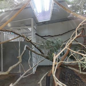 Lemur indoor enclosure