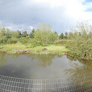 Giant otter enclosure