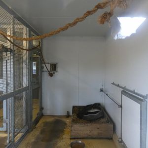 Giant anteater and Red howler indoor enclosure