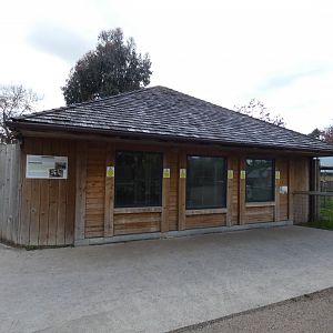 Giant anteater and Red howler house