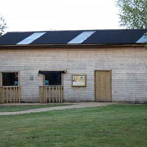 Roloway monkey house