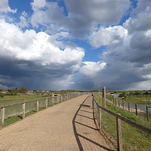 View of Project Polar