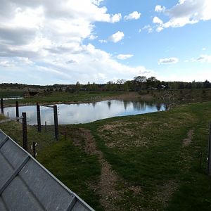 Polar bear enclosure (3)