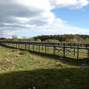 Bridge to extension area