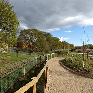 View of Atlantic forest area