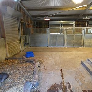 Brazilian tapir indoor enclosure