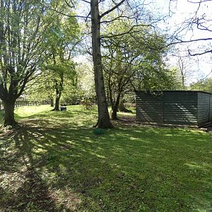 Patagonian mara, Kirk's dik-dik and Agouti enclosure