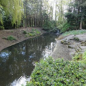 Waterfowl enclosure