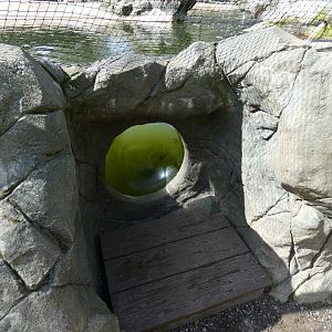 Penguin viewing pod