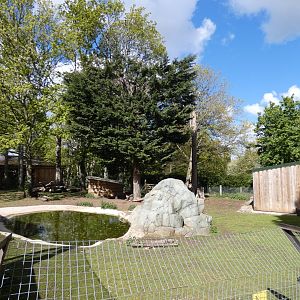 Brazilian tapir and capybara enclosure