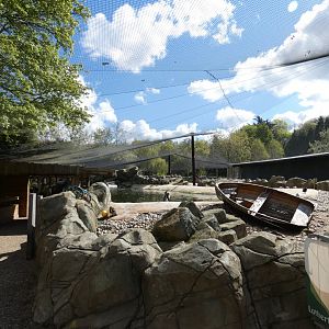 View of penguin aviary