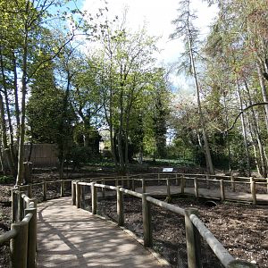 Visayan warty pig enclosure