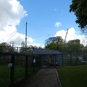 African aviary without netting
