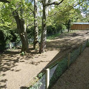 Second tapir enclosure