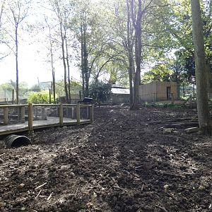Visayan warty pig enclosure (2)