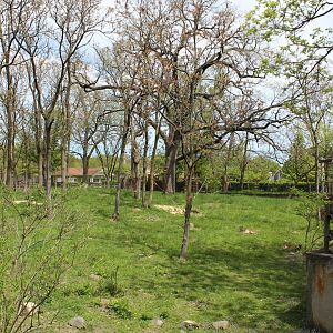 Australia House - Kangaroo and Emu Exhibit