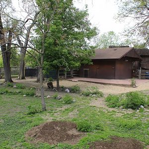 Australia House - Kangaroo Exhibit