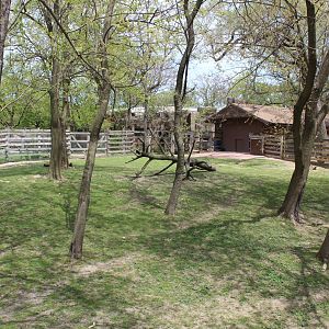 Australia House - Wallaby Exhibit