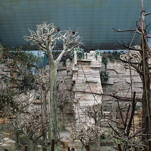 Tropic World - South America Overview