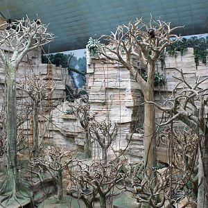 Tropic World - South America Overview