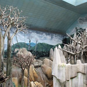 Tropic World - Asia Overview