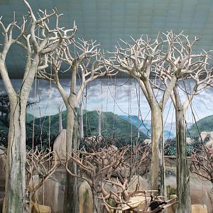 Tropic World - Asia (White-Cheeked Gibbon Exhibit)