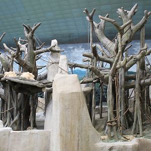 Tropic World - Asia (Orangutan Exhibit)