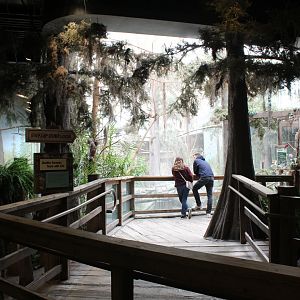 The Swamp - Overlook