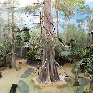 The Swamp - Aviary (Blue-Winged Teal, Great Egret, Roseate Spoonbill, Wood Duck)