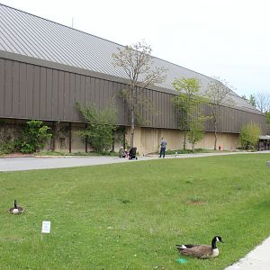 Site of Future Orangutan Exhibit?