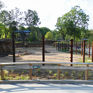 Apr. 2021 - African Savanna - African Bush Elephant Exhibit (1.2 Acres)