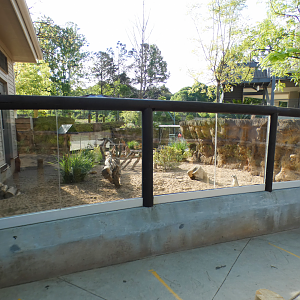 Apr. 2021 - African Savanna - Right Meerkat Exhibit