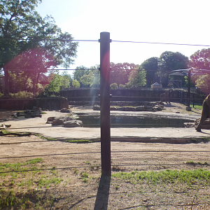 Apr. 2021 - African Savanna - African Elephant Exhibit (1.2 Acres)