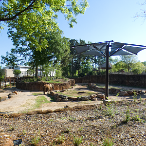 Apr. 2021 - African Savanna - African Elephant Exhibit (1.2 Acres)