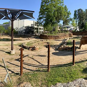 Apr. 2021 - African Savanna - African Elephant Exhibit  Panorama (1.2 Acres)