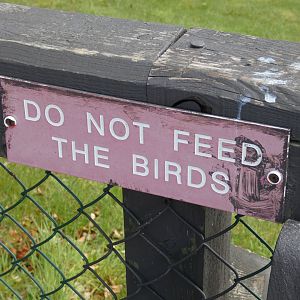 Feeding signage