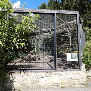 Himalayan monal aviary