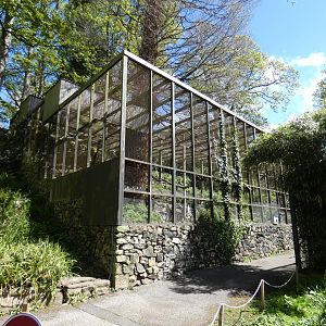 Front view of Andean condor aviary