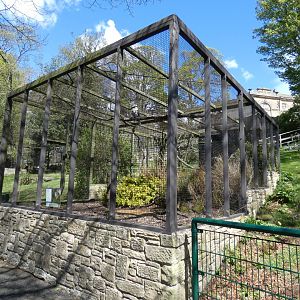Laughing kookaburra aviary