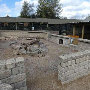 Cape porcupine enclosure
