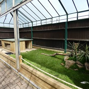 Sulcatta tortoise enclosure