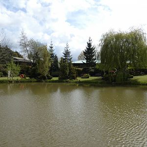 Lake in the zoo