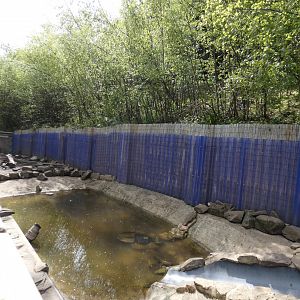 Asian short-clawed otter enclosure