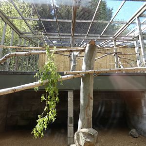 Squirrel monkey enclosure